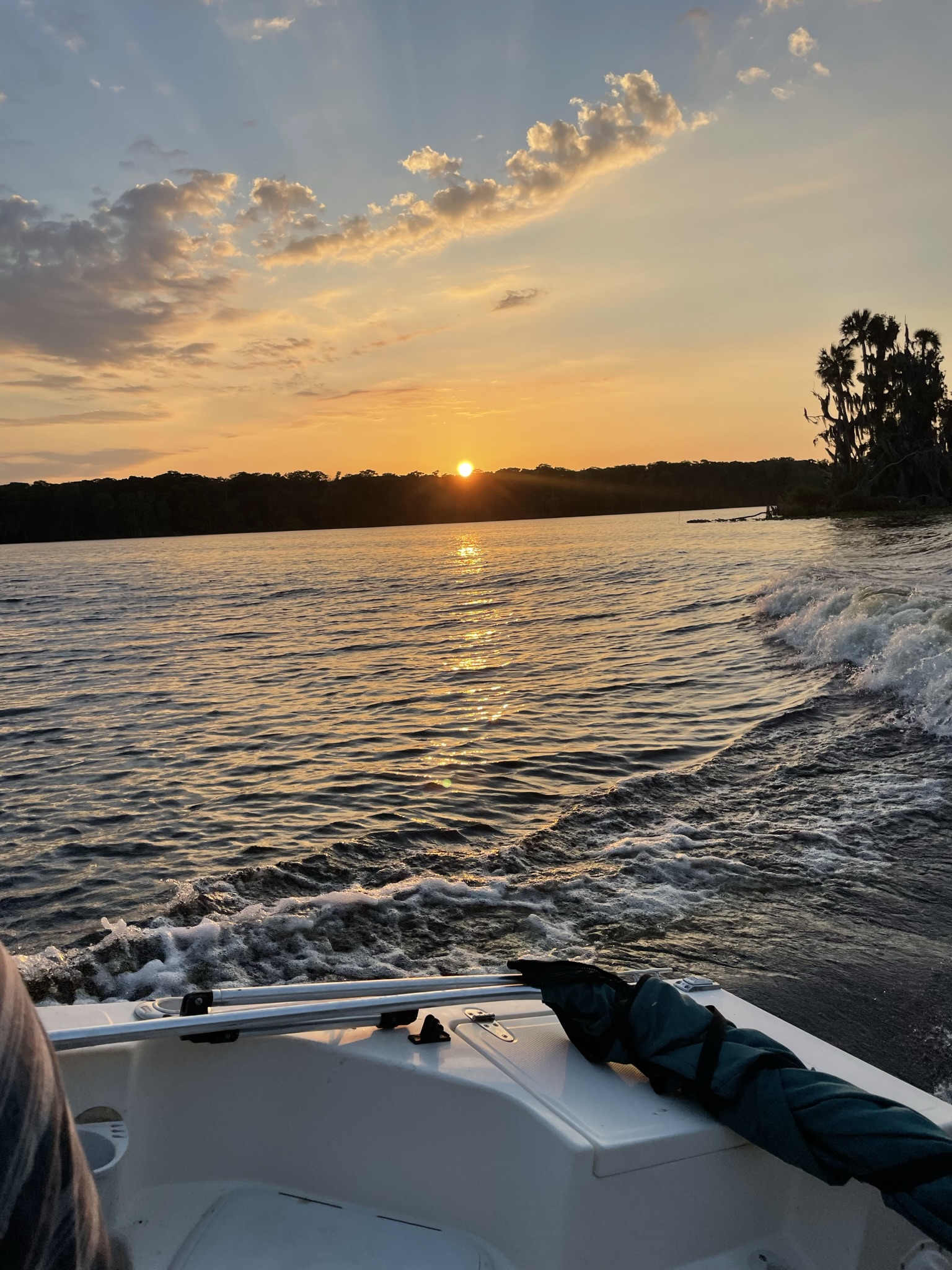 Boat wake at golden sunset